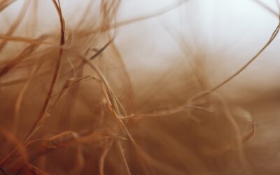 Aging as coming home to yourself