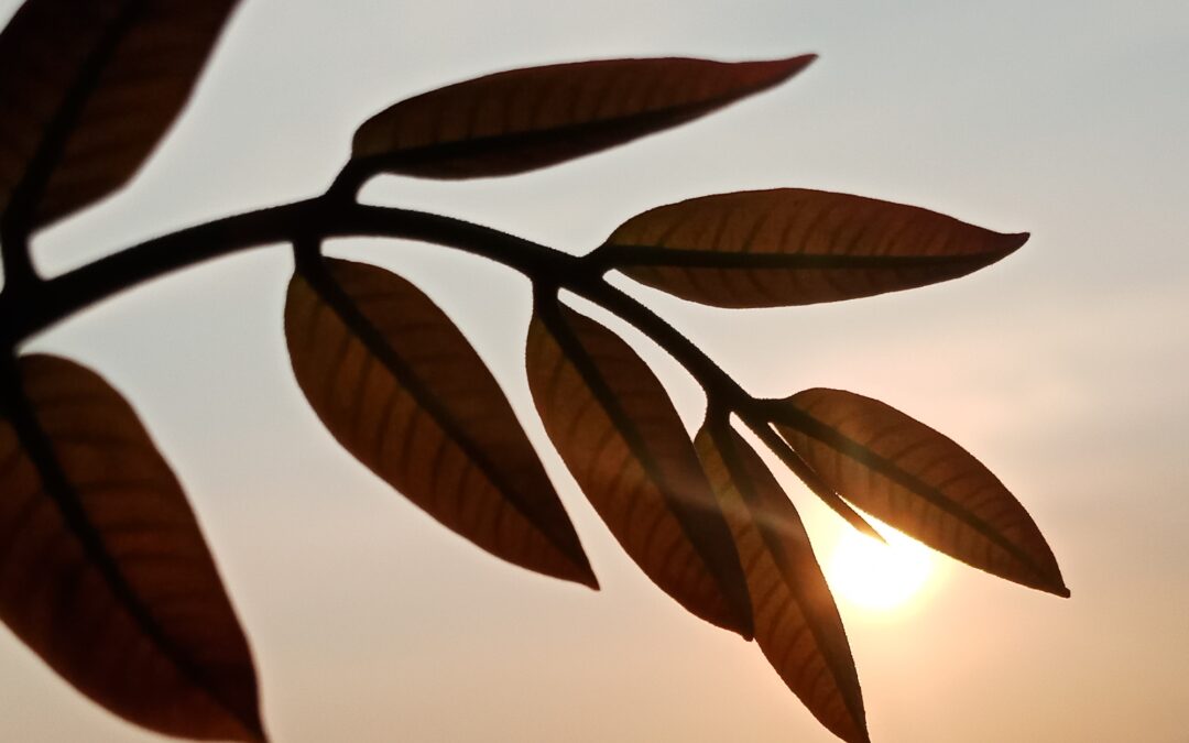 The cost of always having to be strong