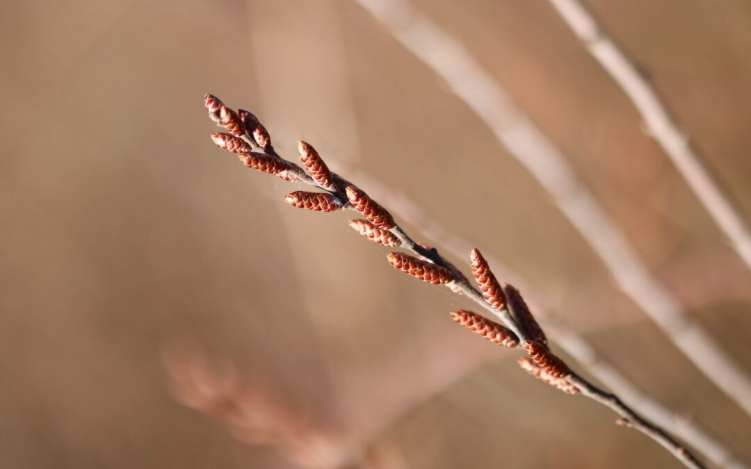 From toxic leadership to empathic & integrated leadership