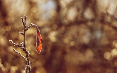 Winterdip & wat doe je eraan?