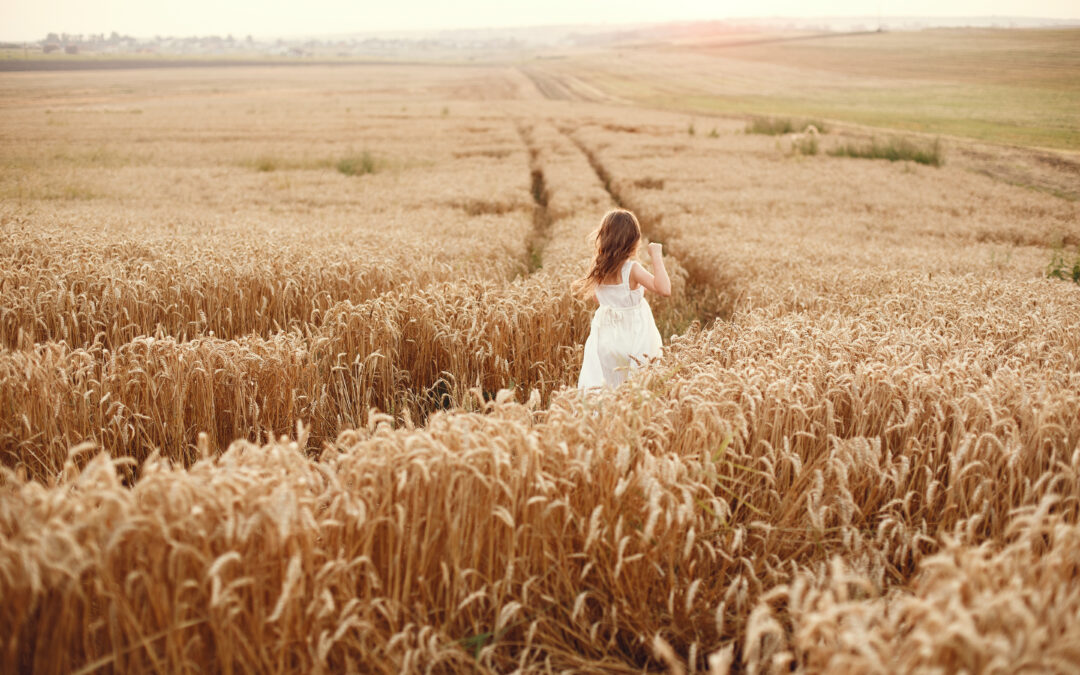 Mini-course: “Lasting change and sustainable transformation”